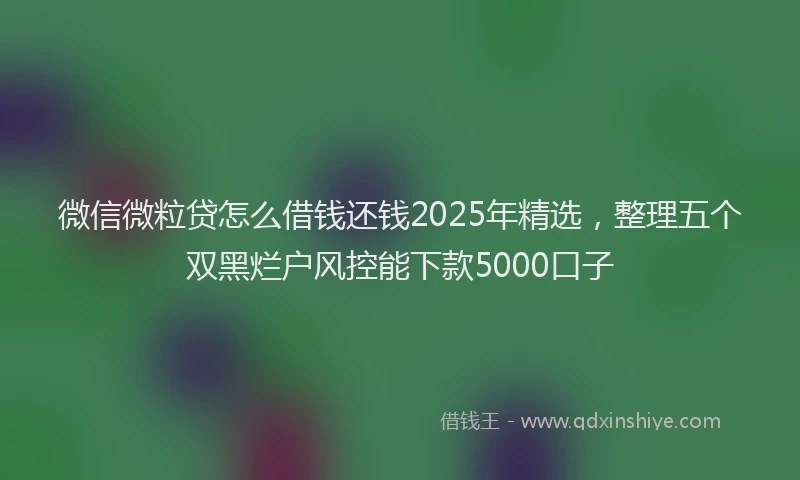 微信微粒贷怎么借钱还钱2025年精选，整理五个双黑烂户风控能下款5000口子