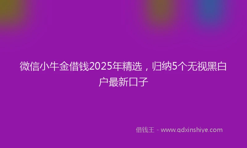 微信小牛金借钱2025年精选，归纳5个无视黑白户最新口子