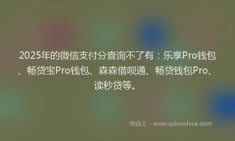 2025年的微信支付分查询不了有：乐享Pro钱包、畅贷宝Pro钱包、森森借呗通、畅贷钱包Pro、读秒贷等。