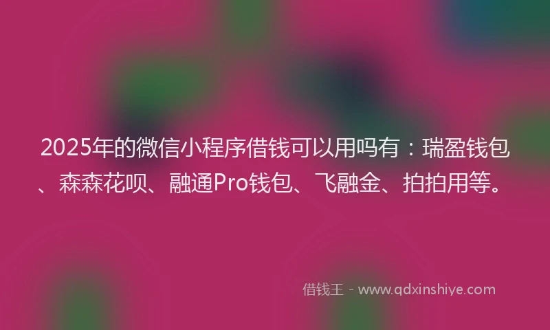 2025年的微信小程序借钱可以用吗有：瑞盈钱包、森森花呗、融通Pro钱包、飞融金、拍拍用等。