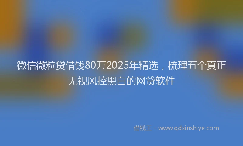 微信微粒贷借钱80万2025年精选，梳理五个真正无视风控黑白的网贷软件
