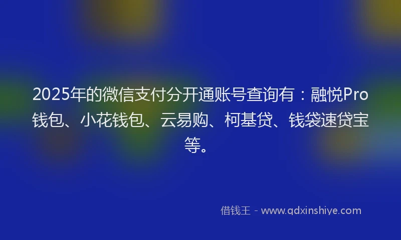 2025年的微信支付分开通账号查询有：融悦Pro钱包、小花钱包、云易购、柯基贷、钱袋速贷宝等。