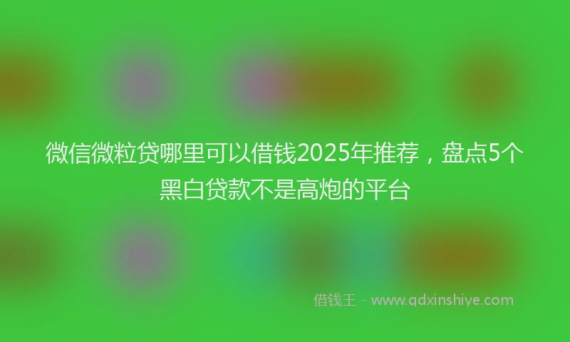 微信微粒贷哪里可以借钱2025年推荐，盘点5个黑白贷款不是高炮的平台