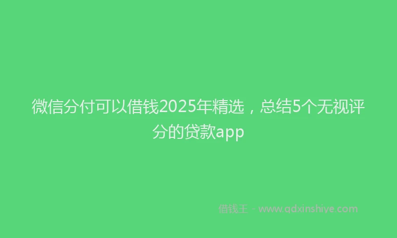 微信分付可以借钱2025年精选，总结5个无视评分的贷款app