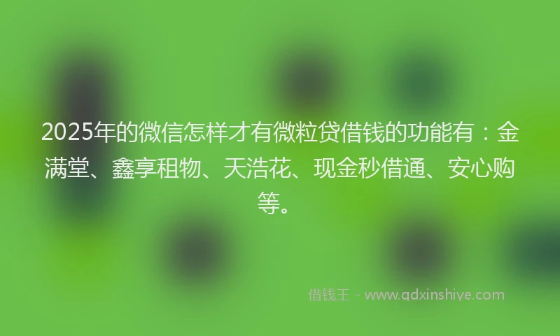2025年的微信怎样才有微粒贷借钱的功能有：金满堂、鑫享租物、天浩花、现金秒借通、安心购等。