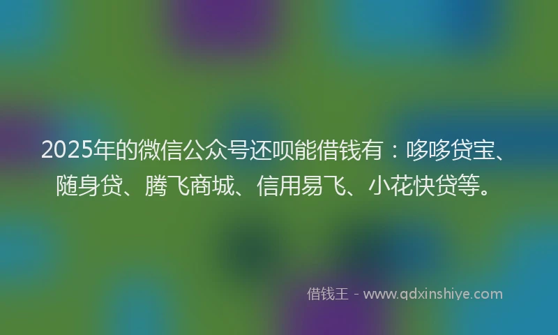 2025年的微信公众号还呗能借钱有：哆哆贷宝、随身贷、腾飞商城、信用易飞、小花快贷等。
