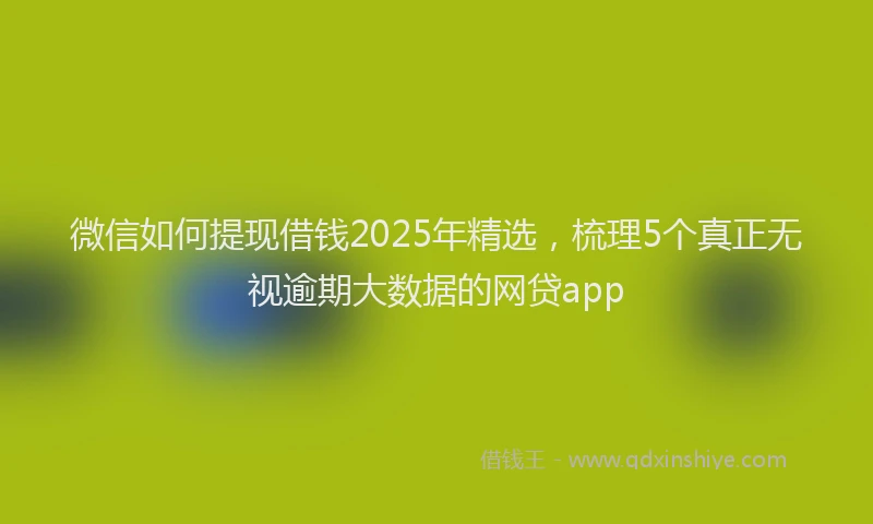 微信如何提现借钱2025年精选，梳理5个真正无视逾期大数据的网贷app