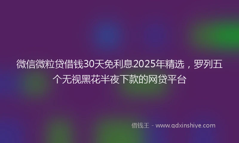 微信微粒贷借钱30天免利息2025年精选，罗列五个无视黑花半夜下款的网贷平台