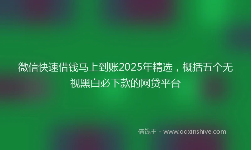 微信快速借钱马上到账2025年精选，概括五个无视黑白必下款的网贷平台