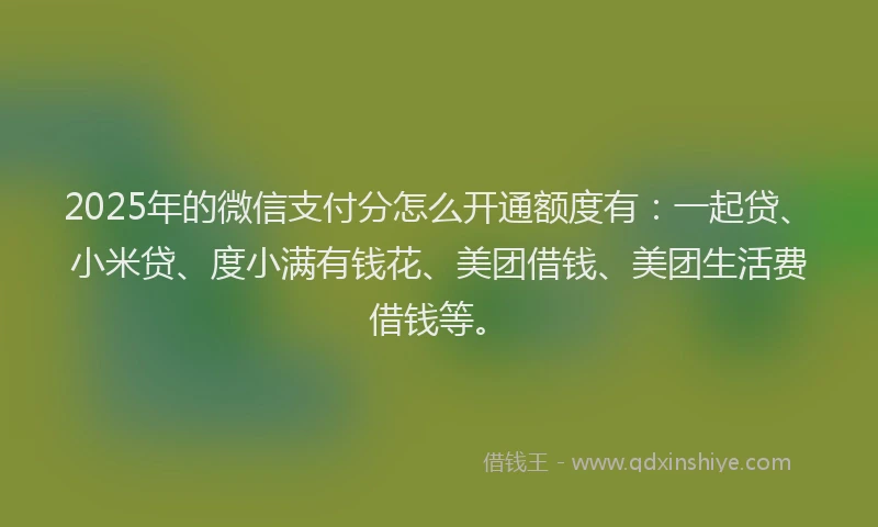 2025年的微信支付分怎么开通额度有：一起贷、小米贷、度小满有钱花、美团借钱、美团生活费借钱等。