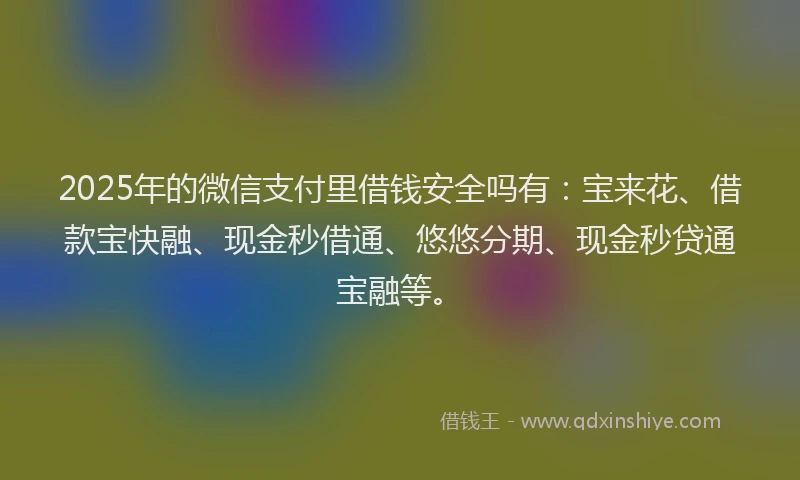 2025年的微信支付里借钱安全吗有：宝来花、借款宝快融、现金秒借通、悠悠分期、现金秒贷通宝融等。