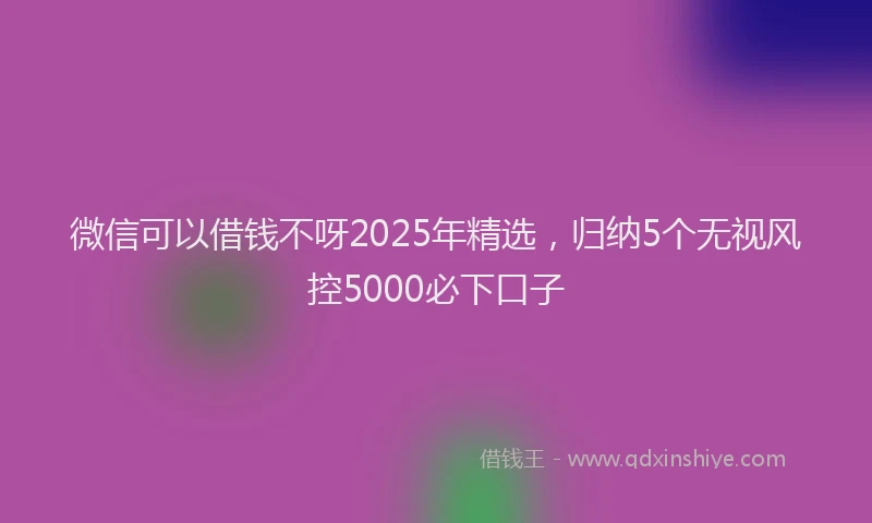 微信可以借钱不呀2025年精选，归纳5个无视风控5000必下口子