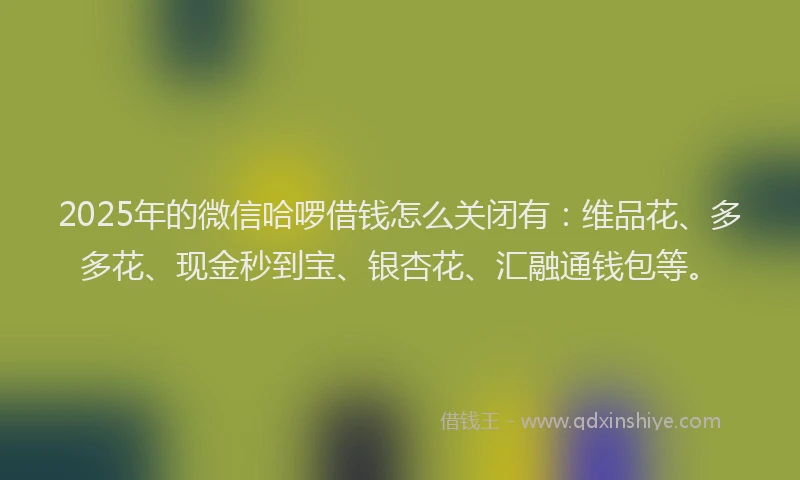2025年的微信哈啰借钱怎么关闭有：维品花、多多花、现金秒到宝、银杏花、汇融通钱包等。