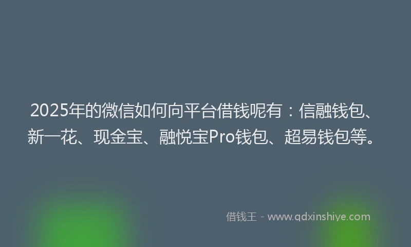 2025年的微信如何向平台借钱呢有：信融钱包、新一花、现金宝、融悦宝Pro钱包、超易钱包等。