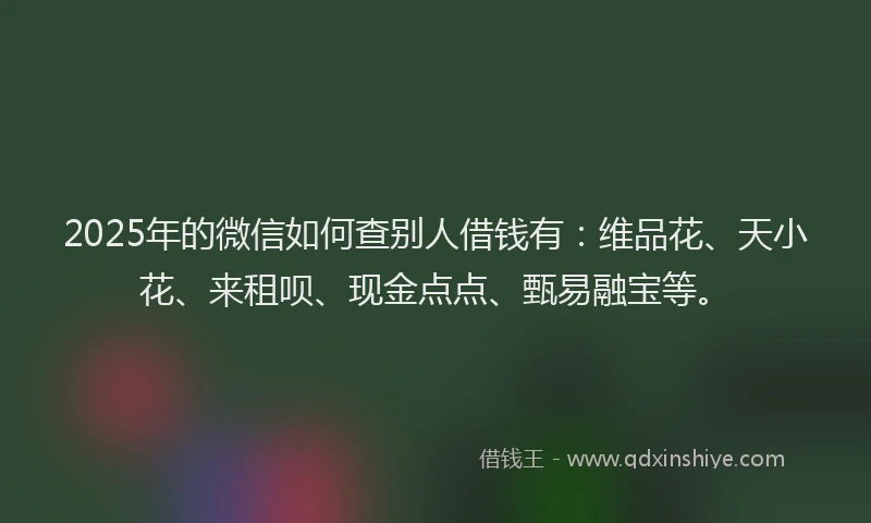 2025年的微信如何查别人借钱有：维品花、天小花、来租呗、现金点点、甄易融宝等。