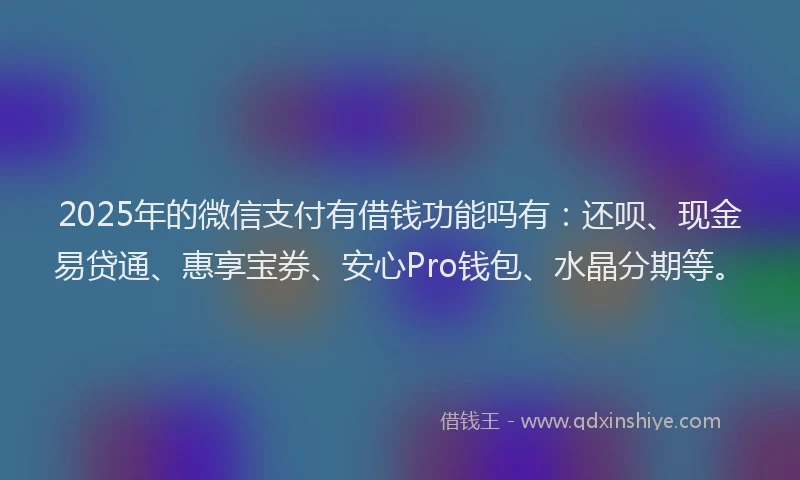 2025年的微信支付有借钱功能吗有：还呗、现金易贷通、惠享宝券、安心Pro钱包、水晶分期等。