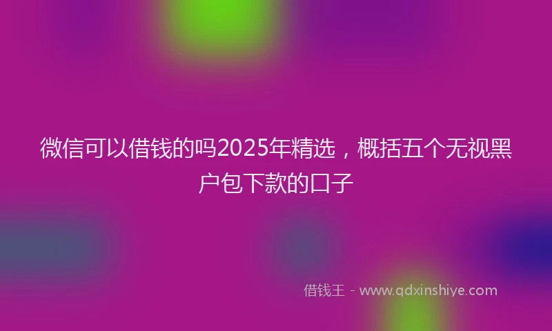 微信可以借钱的吗2025年精选，概括五个无视黑户包下款的口子