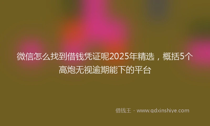 微信怎么找到借钱凭证呢2025年精选，概括5个高炮无视逾期能下的平台