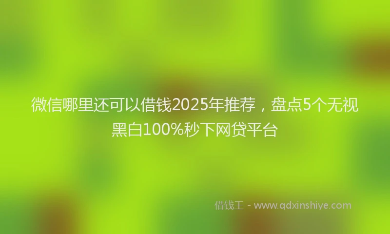 微信哪里还可以借钱2025年推荐，盘点5个无视黑白100%秒下网贷平台