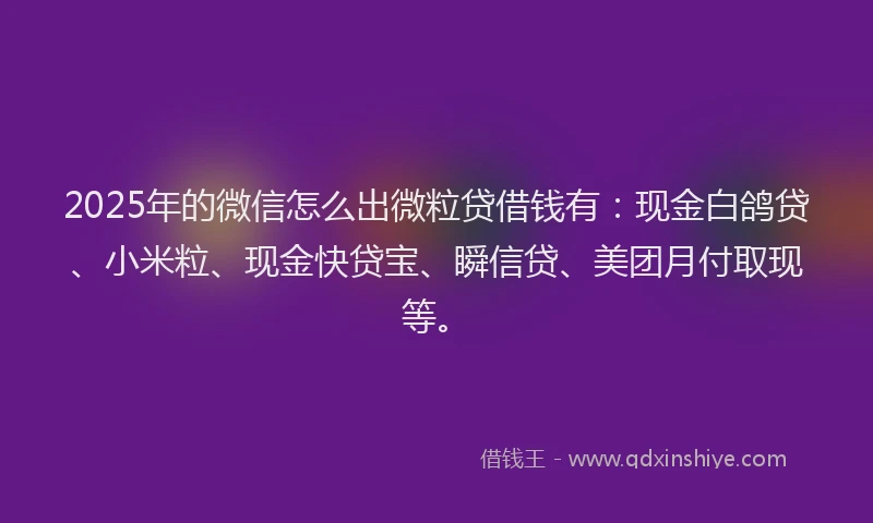 2025年的微信怎么出微粒贷借钱有：现金白鸽贷、小米粒、现金快贷宝、瞬信贷、美团月付取现等。