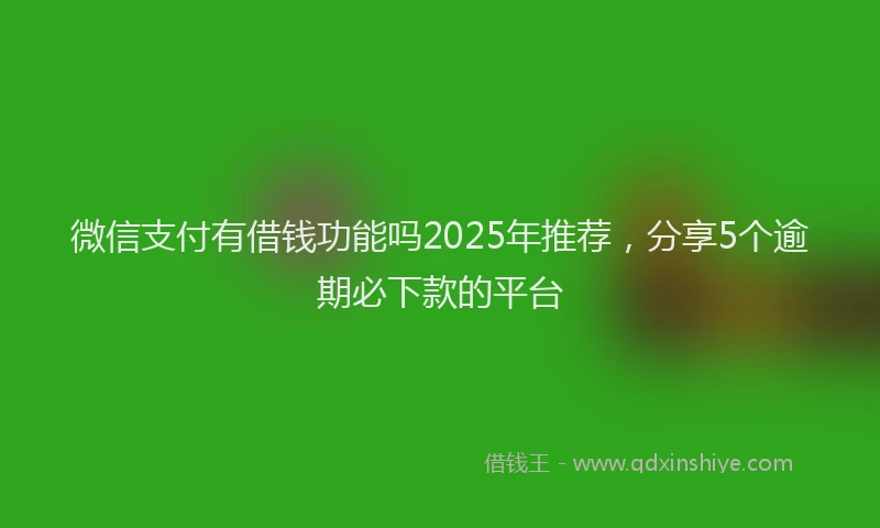 微信支付有借钱功能吗2025年推荐，分享5个逾期必下款的平台