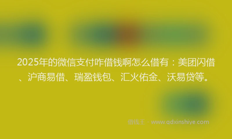 2025年的微信支付咋借钱啊怎么借有：美团闪借、沪商易借、瑞盈钱包、汇火佑金、沃易贷等。