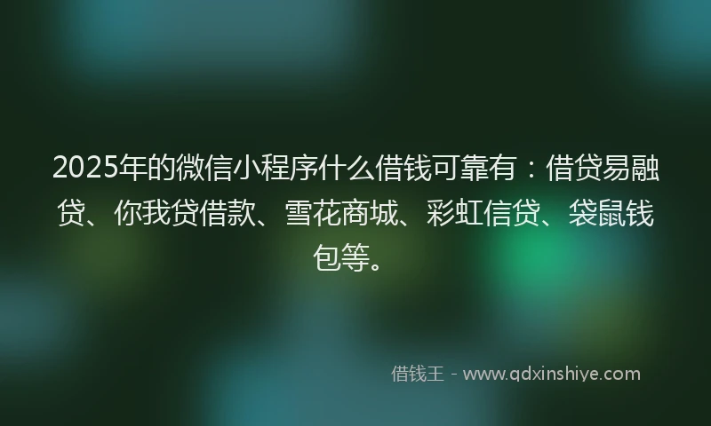 2025年的微信小程序什么借钱可靠有：借贷易融贷、你我贷借款、雪花商城、彩虹信贷、袋鼠钱包等。