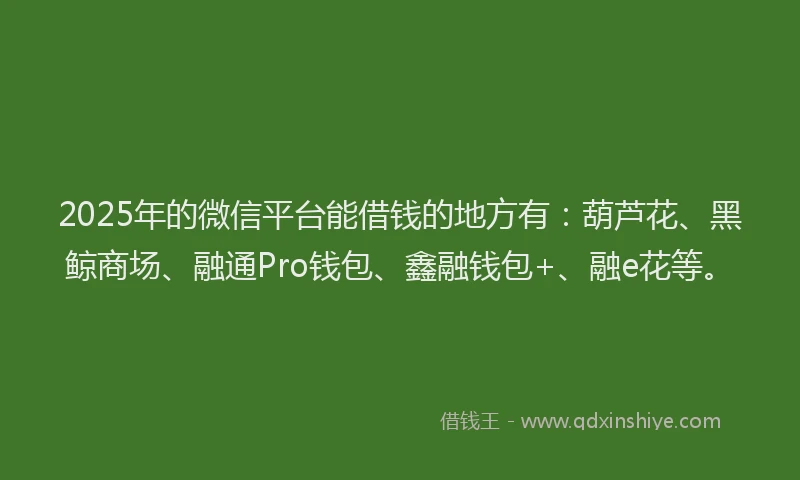 2025年的微信平台能借钱的地方有：葫芦花、黑鲸商场、融通Pro钱包、鑫融钱包+、融e花等。