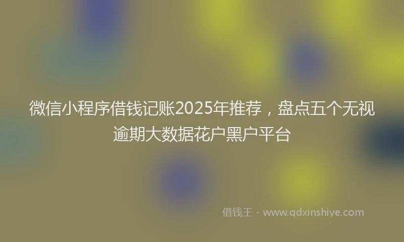 微信小程序借钱记账2025年推荐，盘点五个无视逾期大数据花户黑户平台