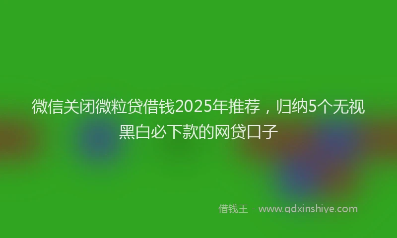 微信关闭微粒贷借钱2025年推荐，归纳5个无视黑白必下款的网贷口子