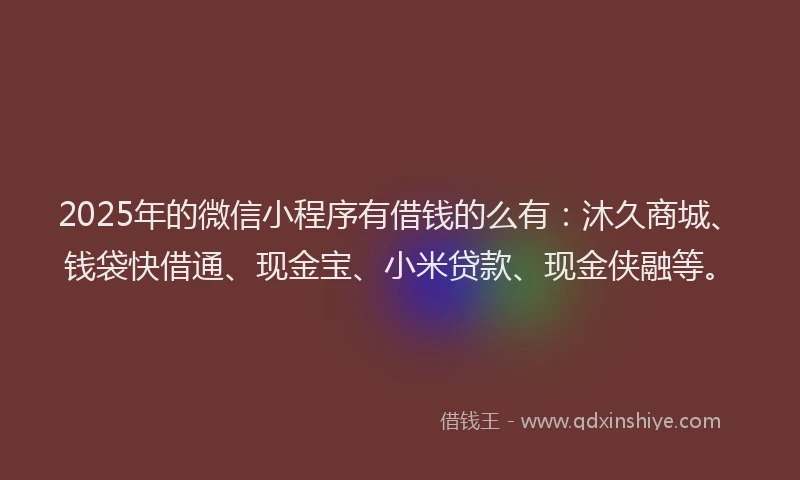 2025年的微信小程序有借钱的么有：沐久商城、钱袋快借通、现金宝、小米贷款、现金侠融等。