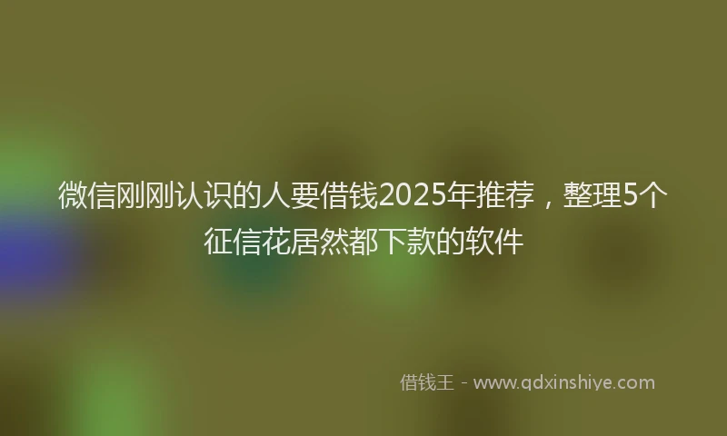 微信刚刚认识的人要借钱2025年推荐，整理5个征信花居然都下款的软件