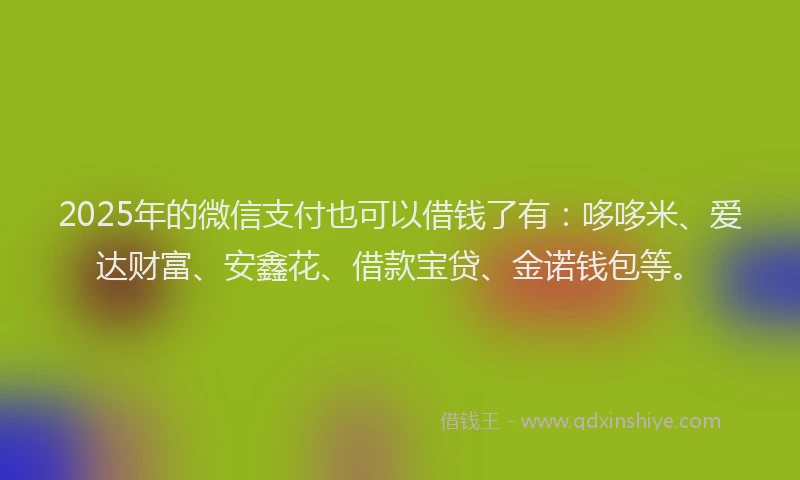2025年的微信支付也可以借钱了有：哆哆米、爱达财富、安鑫花、借款宝贷、金诺钱包等。