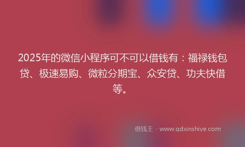 2025年的微信小程序可不可以借钱有：福禄钱包贷、极速易购、微粒分期宝、众安贷、功夫快借等。