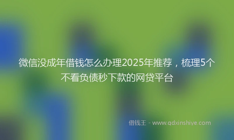 微信没成年借钱怎么办理2025年推荐，梳理5个不看负债秒下款的网贷平台