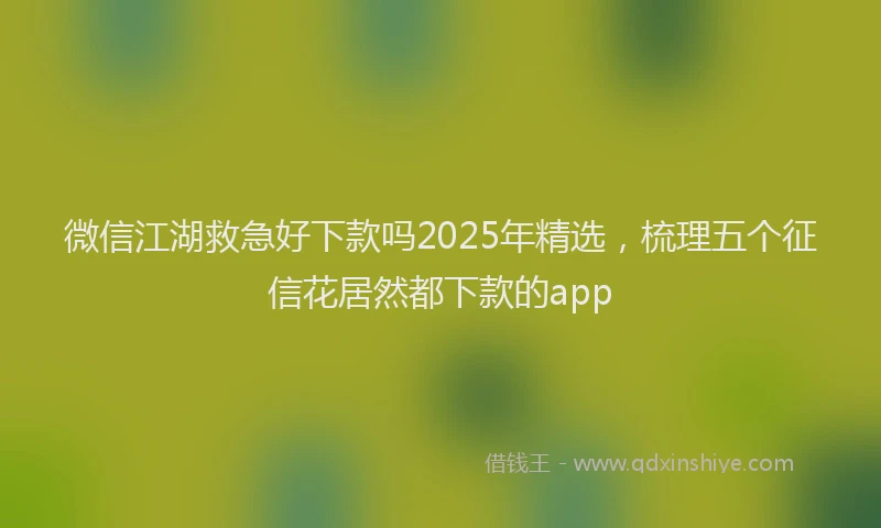 微信江湖救急好下款吗2025年精选，梳理五个征信花居然都下款的app