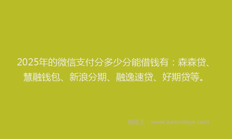 2025年的微信支付分多少分能借钱有：森森贷、慧融钱包、新浪分期、融逸速贷、好期贷等。