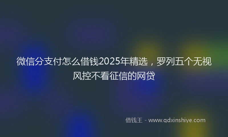 微信分支付怎么借钱2025年精选，罗列五个无视风控不看征信的网贷