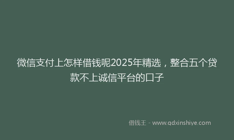 微信支付上怎样借钱呢2025年精选，整合五个贷款不上诚信平台的口子