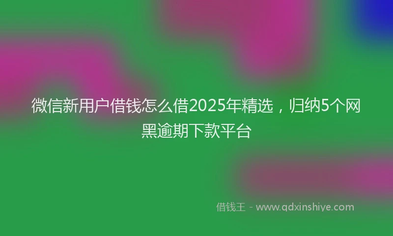 微信新用户借钱怎么借2025年精选，归纳5个网黑逾期下款平台