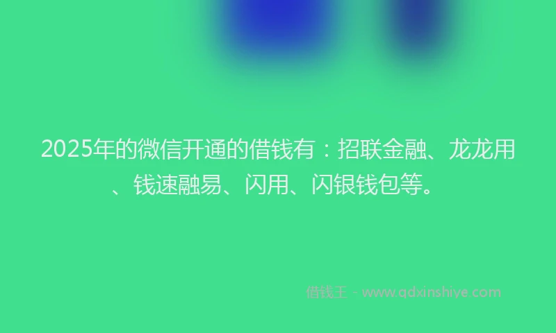 2025年的微信开通的借钱有：招联金融、龙龙用、钱速融易、闪用、闪银钱包等。