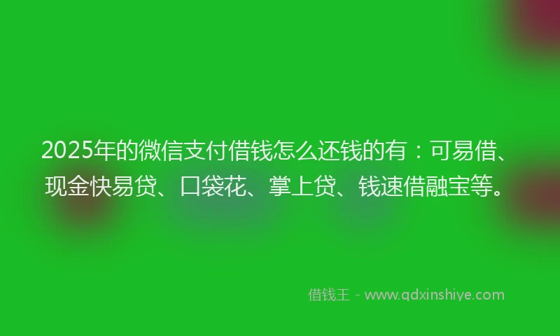 2025年的微信支付借钱怎么还钱的有：可易借、现金快易贷、口袋花、掌上贷、钱速借融宝等。