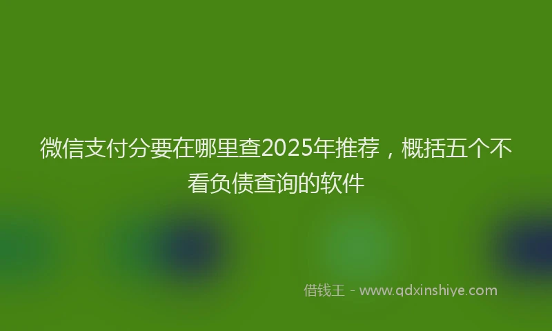 微信支付分要在哪里查2025年推荐，概括五个不看负债查询的软件