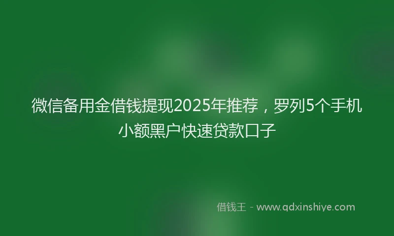 微信备用金借钱提现2025年推荐，罗列5个手机小额黑户快速贷款口子