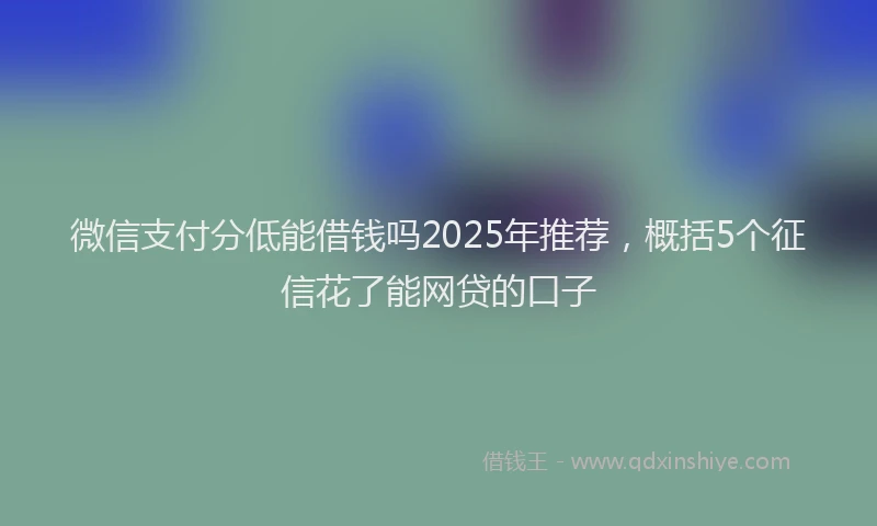 微信支付分低能借钱吗2025年推荐，概括5个征信花了能网贷的口子