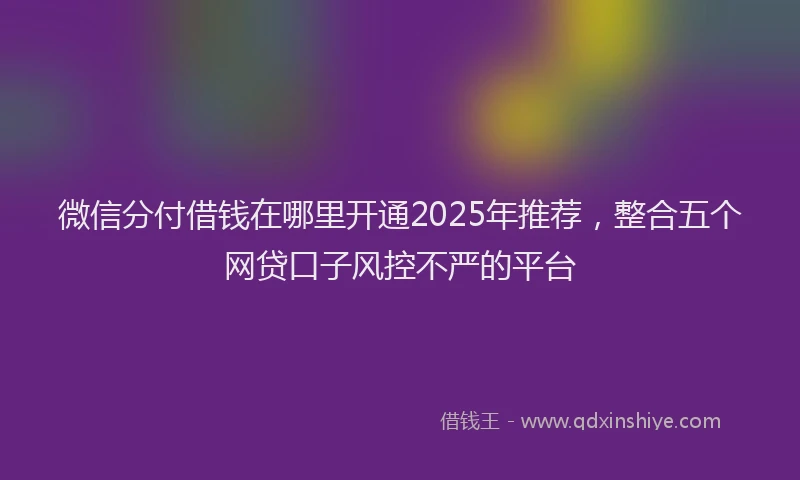 微信分付借钱在哪里开通2025年推荐，整合五个网贷口子风控不严的平台