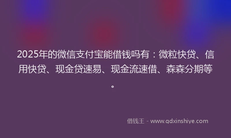 2025年的微信支付宝能借钱吗有：微粒快贷、信用快贷、现金贷速易、现金流速借、森森分期等。