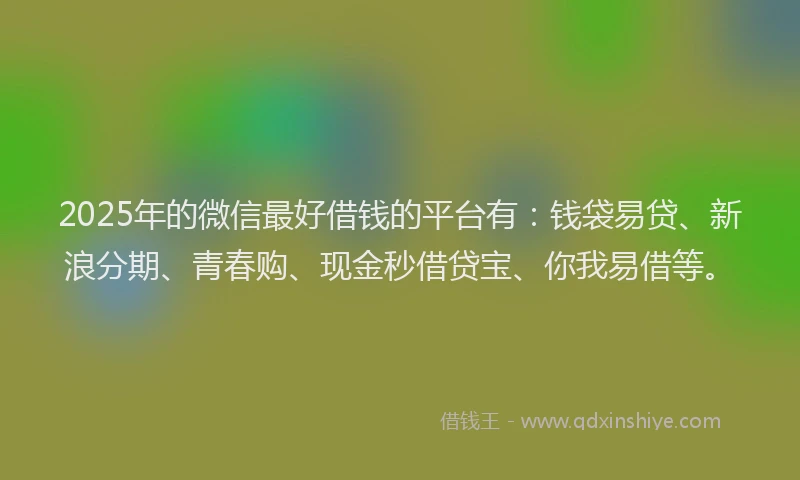 2025年的微信最好借钱的平台有：钱袋易贷、新浪分期、青春购、现金秒借贷宝、你我易借等。