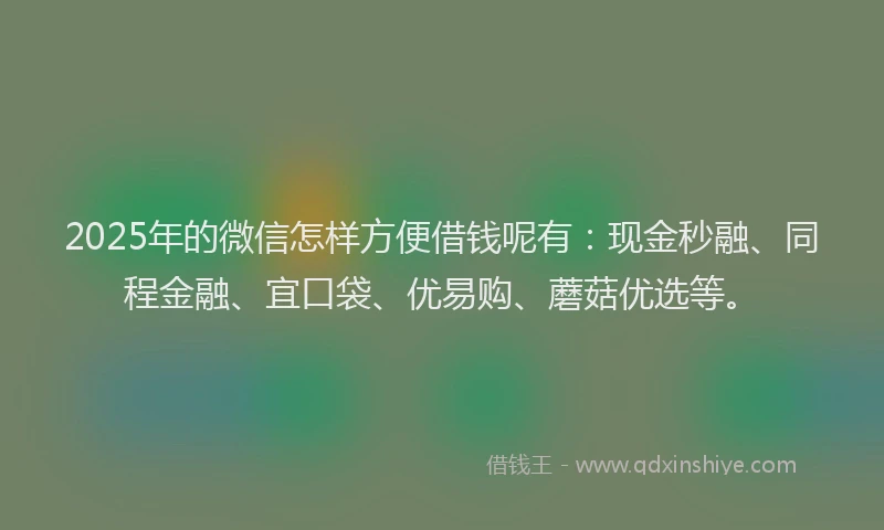 2025年的微信怎样方便借钱呢有：现金秒融、同程金融、宜口袋、优易购、蘑菇优选等。