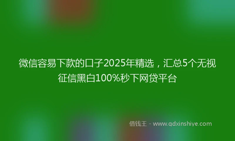 微信容易下款的口子2025年精选，汇总5个无视征信黑白100%秒下网贷平台